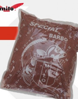 Special Barbo