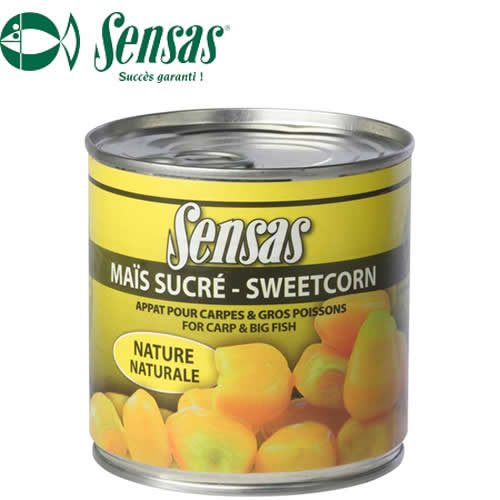 Maïs sucré - SweetCorn