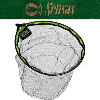 World Champion Gloucester