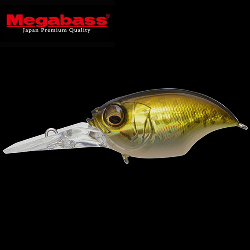 GG Bass